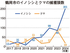 表
