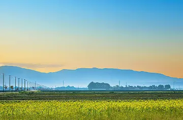 三川町 - 風景