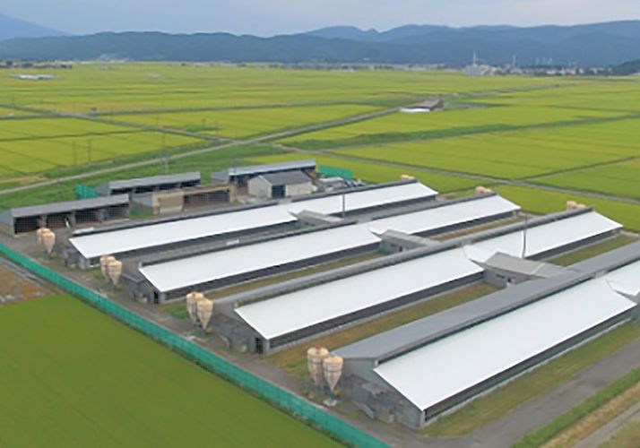 直営農場（千本杉農場）