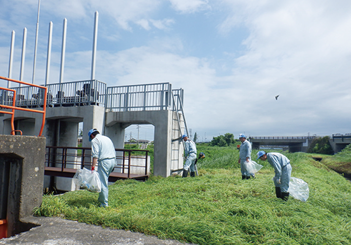 河川愛護活動の実施