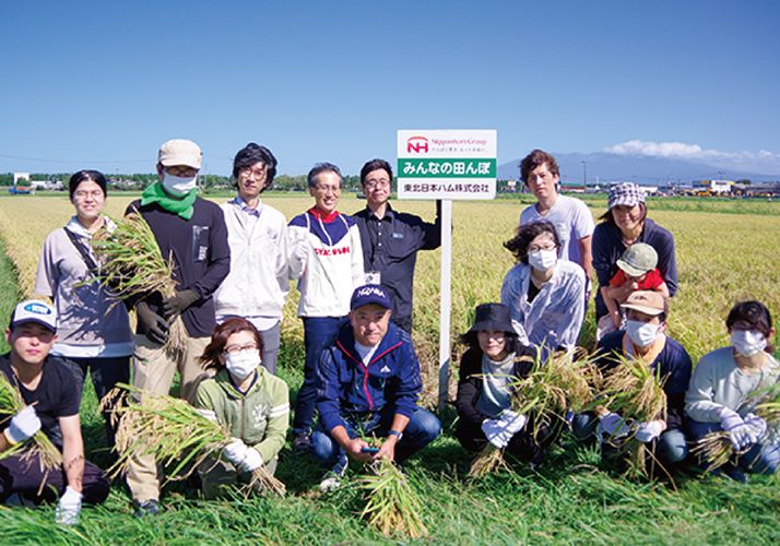 「みんなの田んぼ」で稲刈り体験